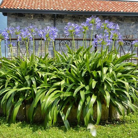 Casa Giardino Fiorito Apartment San Siro  Bagian luar foto