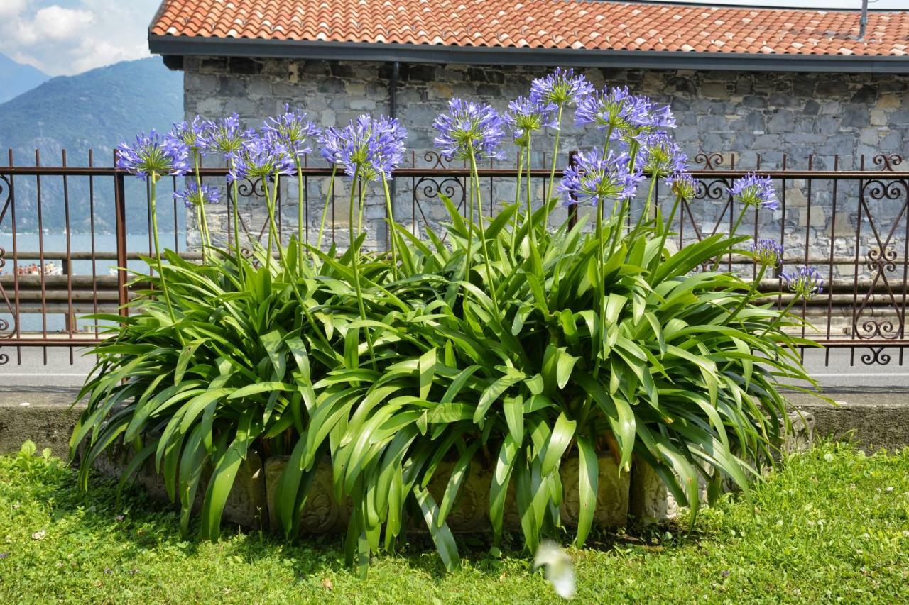 Casa Giardino Fiorito Apartment San Siro  Bagian luar foto
